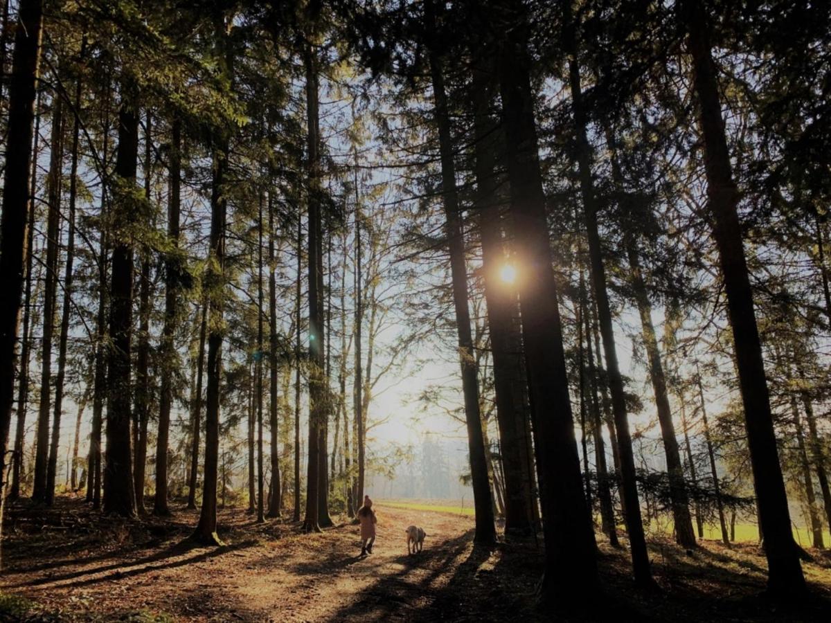 Feriendorf Buechelberg Windorf  Екстериор снимка